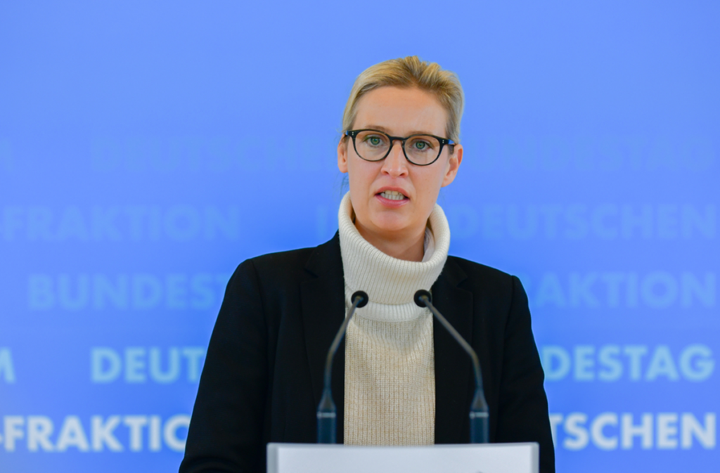 AfD-Chefin Weidel: Betrachtungen Zu Einem Möglichen "Dexit"-Referendum ...