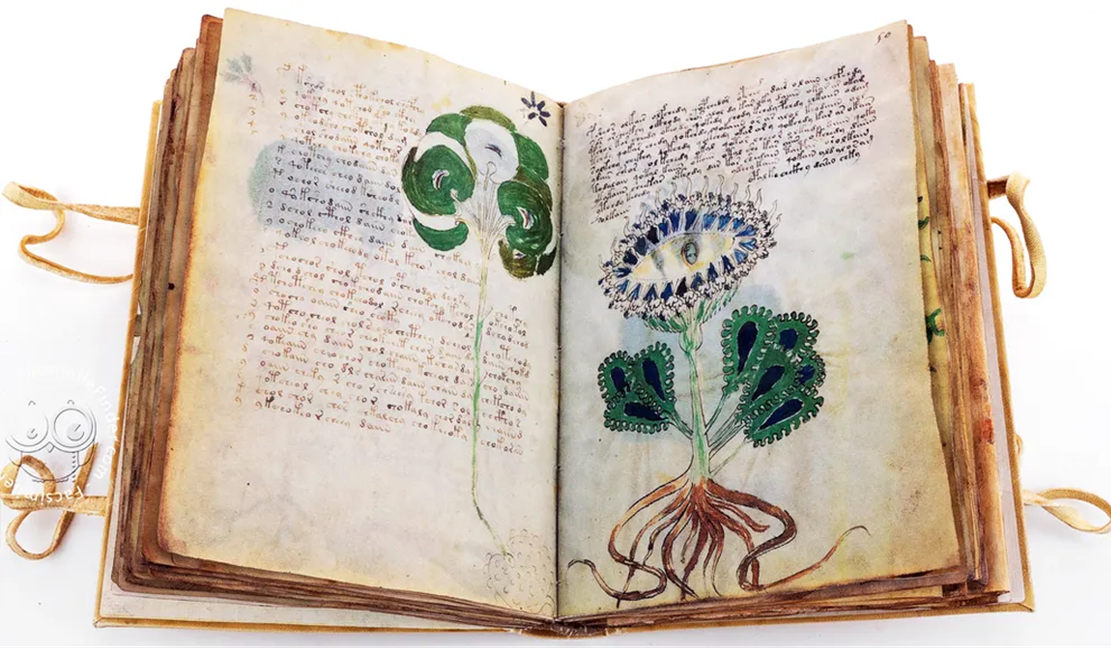 geheimes-wissen-im-mittelalter-das-voynich-manuskript