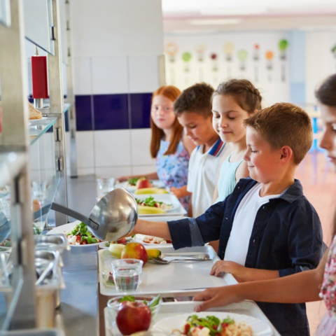 berliner-schulessen-chaos-nach-den-sommerferien