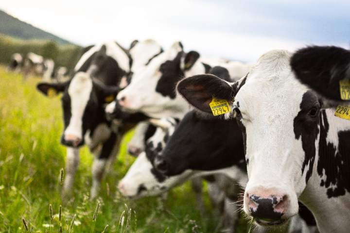 gewinne-in-der-landwirtschaft-brechen-um-30-prozent-ein