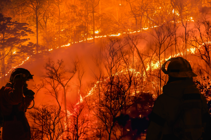 feuergefahr-in-los-angeles-keine-entwarnung-in-sicht