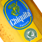 massenentlassungen-bei-chiquita-erschüttern-panama