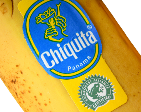 massenentlassungen-bei-chiquita-erschüttern-panama