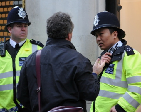 weiße-in-großbritannien-bald-minderheit