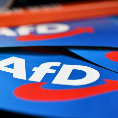 afd-auf-höhenflug-–-zustimmung-für-regierung-bricht-ein